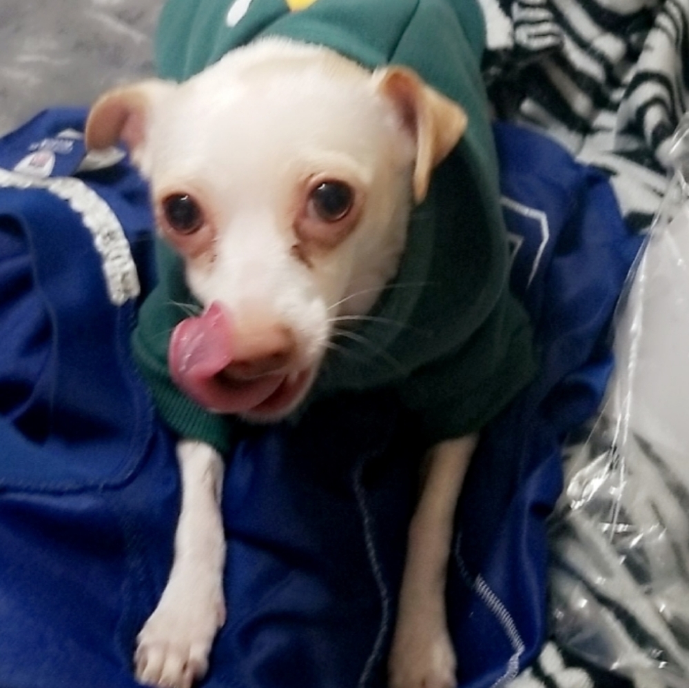 Meet your Posher, Angelina